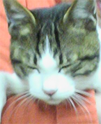 うちの校長先生！！