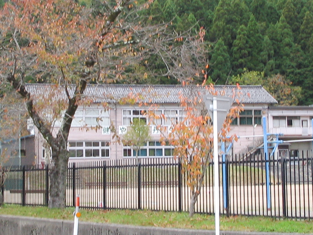 私たちの学校「ここから」
